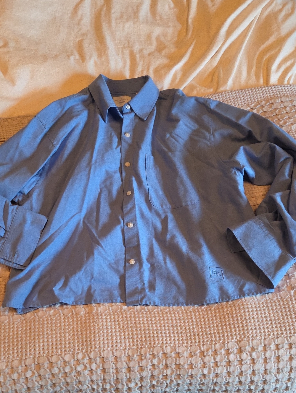 Cropped Blue Button-Down Shirt